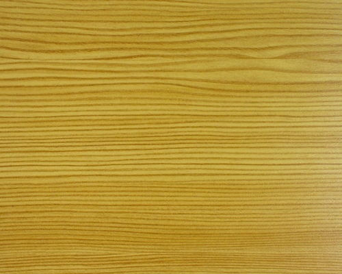 Горная сосна 3069041